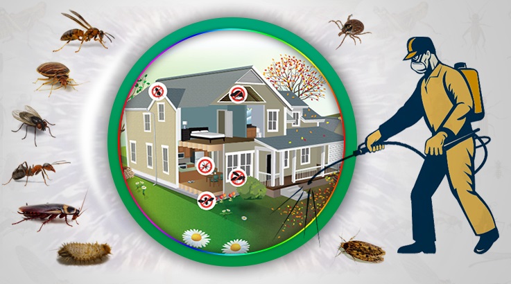 Kaklıç Böcek İlaçlama