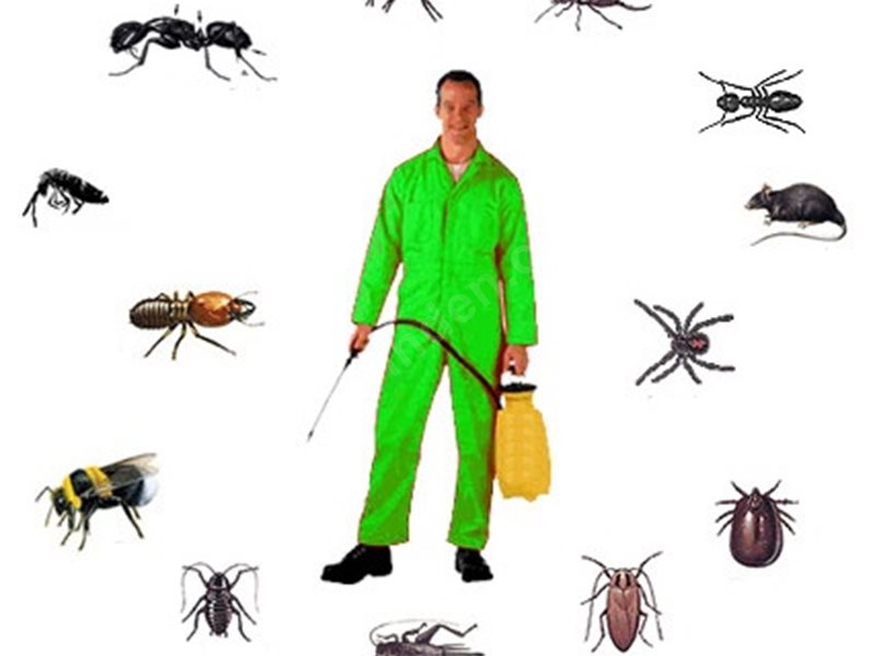 Kaklıç Böcek İlaçlama